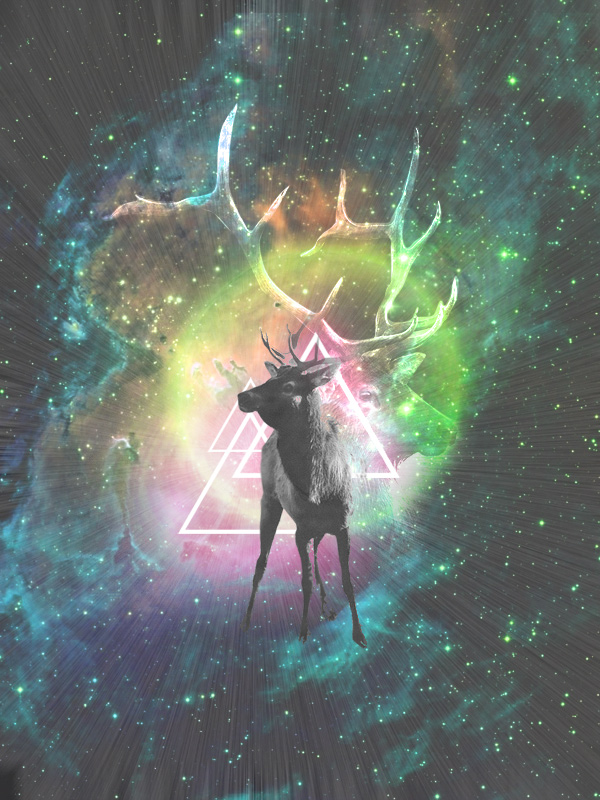 space-elk