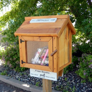 little free library