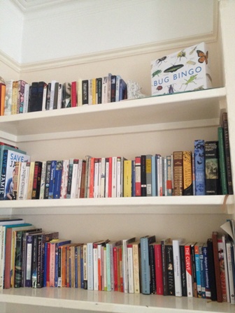 shelfie - kathryn