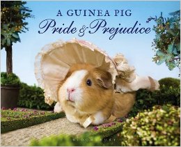 guinea pig