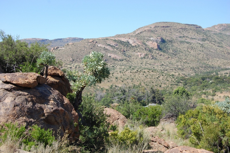 Another Karoo landscape, taken by Barbara Mutch