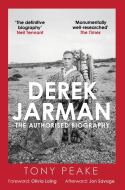 Derek Jarman: The Authorised Biography